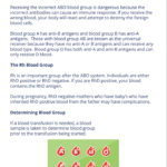 workbook-page-example-1.png